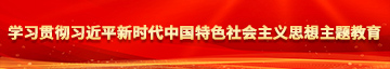 你的小屄舒服学习贯彻习近平新时代中国特色社会主义思想主题教育