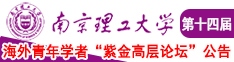 大鸡巴插小萝莉的视频南京理工大学第十四届海外青年学者紫金论坛诚邀海内外英才！